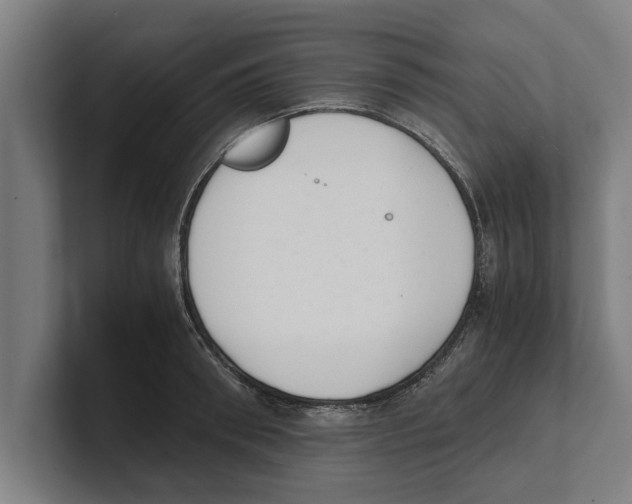 X0000100770898200807171409