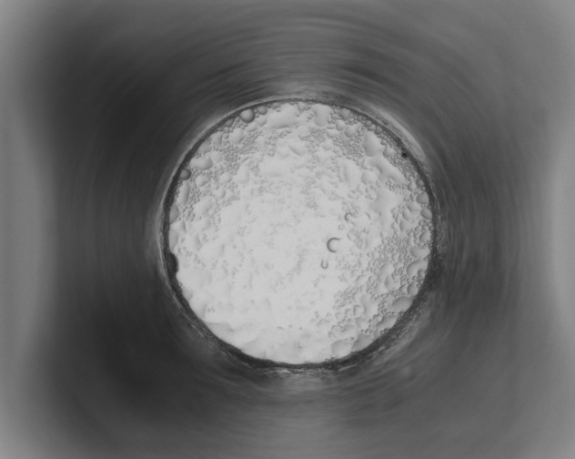 X0000100770899200807171409