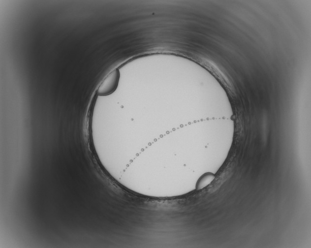 X0000100770900200807171409
