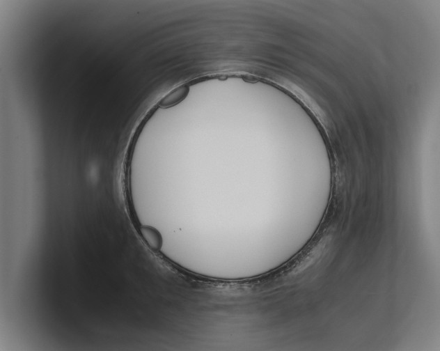 X0000100770901200807171409