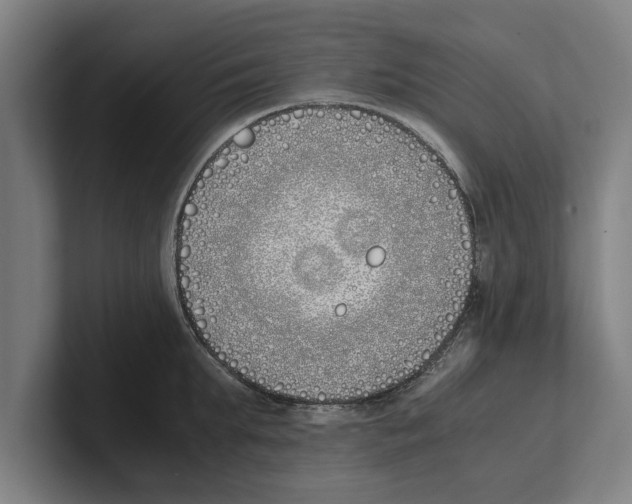 X0000100770903200807171409