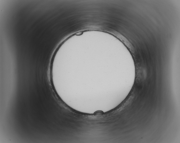 X0000100770904200807171409
