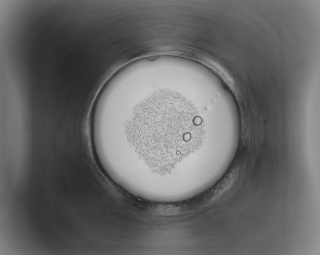 X0000100770907200807171409