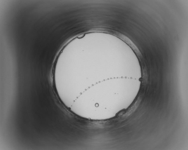 X0000100770908200807171409