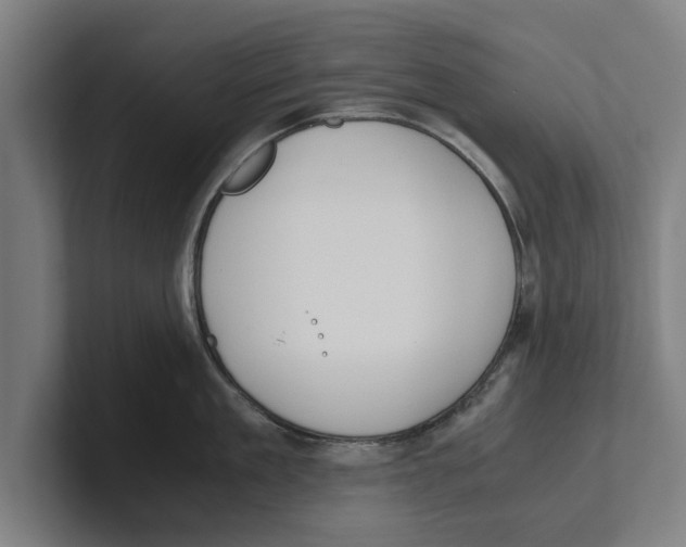 X0000100770909200807171409