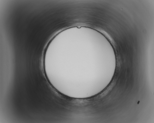 X0000100770910200807171409