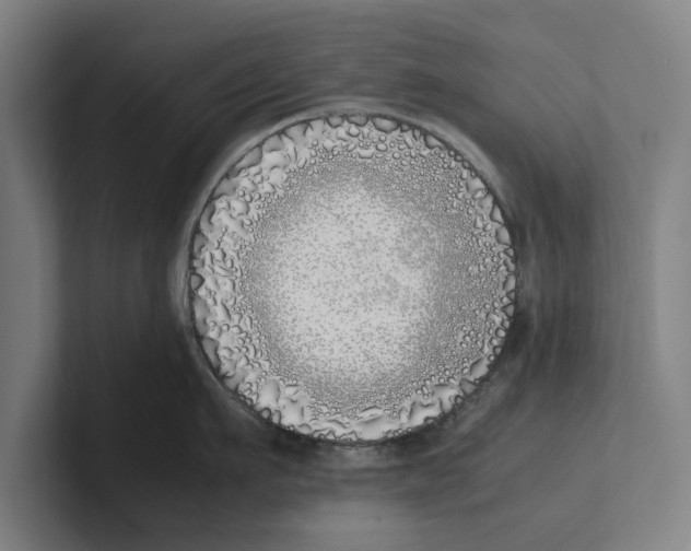 X0000100770911200807171409