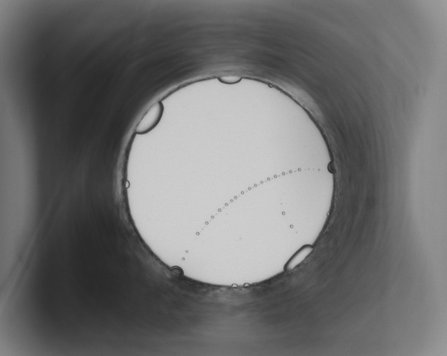 X0000100770912200807171409