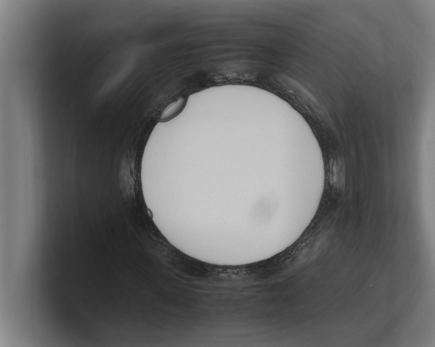 X0000100770915200807171408