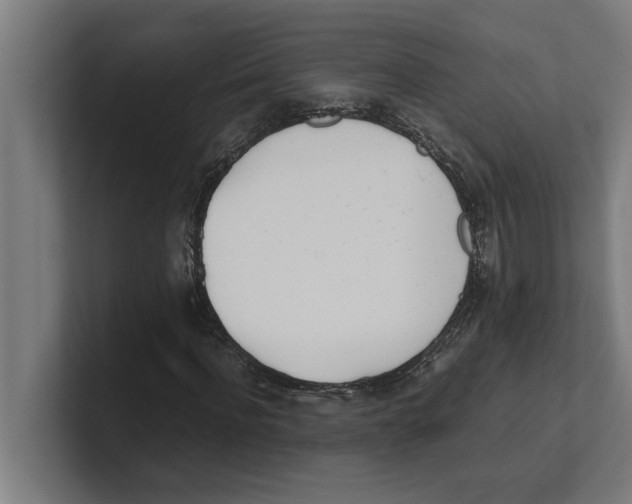 X0000100770916200807171408