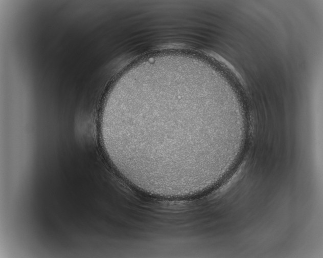 X0000100770921200807171408