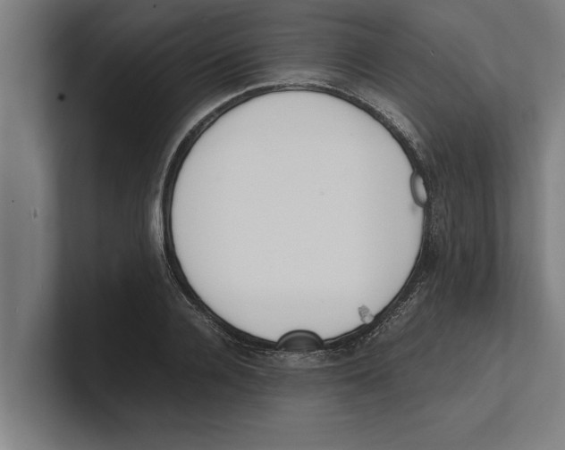 X0000100770936200807171408