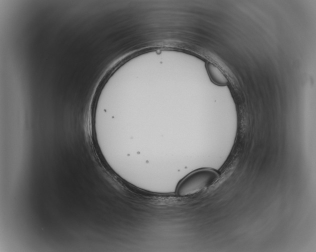 X0000100770940200807171408