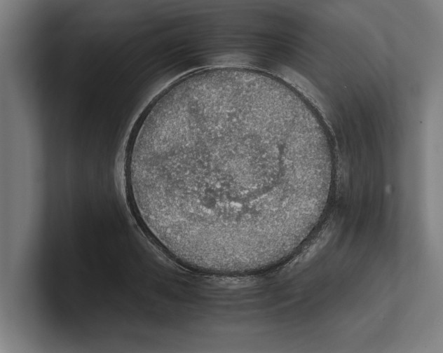 X0000100770941200807171409