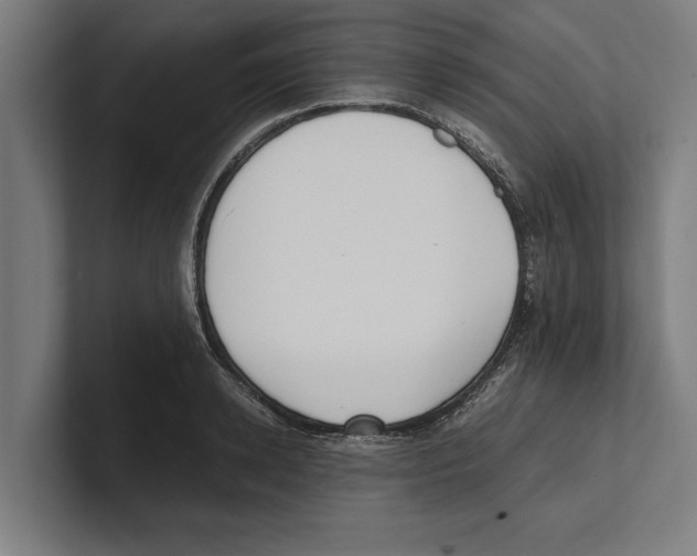 X0000100770942200807171409