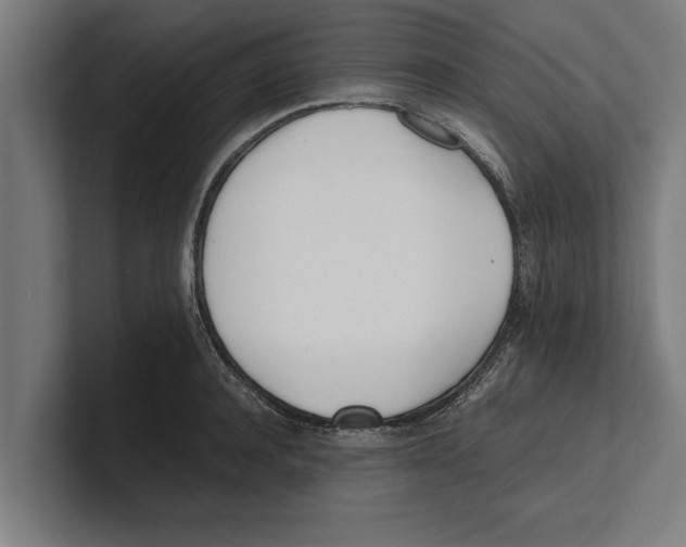 X0000100770944200807171409