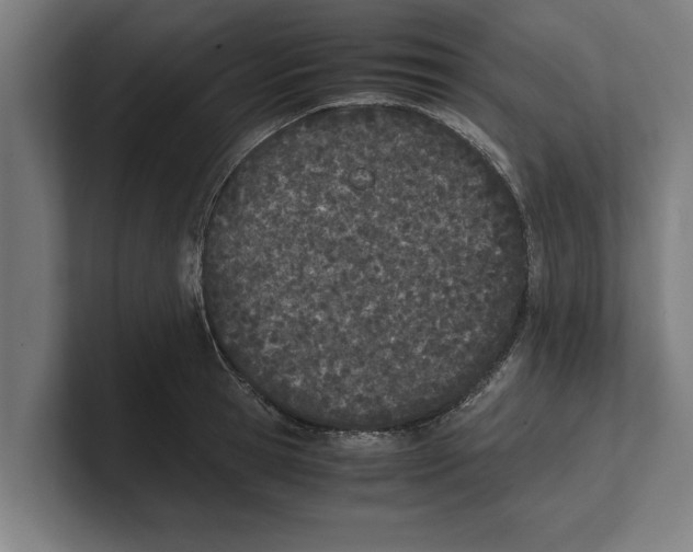 X0000100770945200807171409