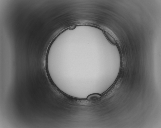 X0000100770946200807171409