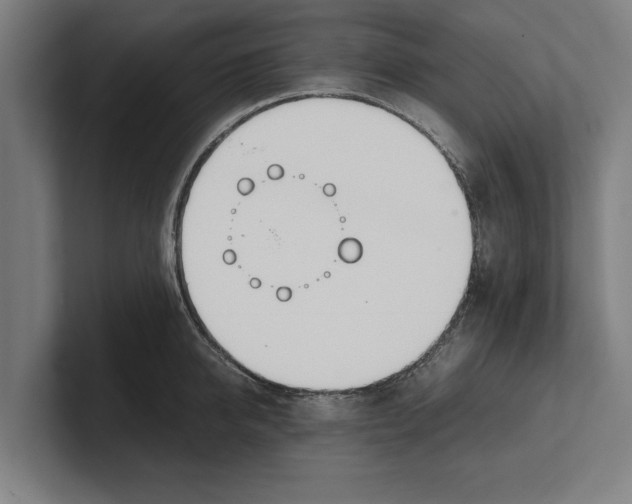 X0000100770950200807171409