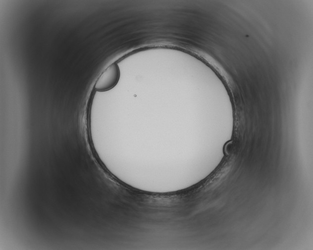 X0000100770951200807171409