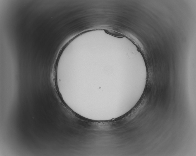 X0000100770952200807171409
