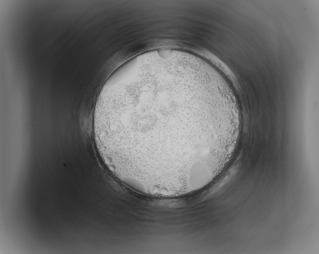 X0000100770953200807171409