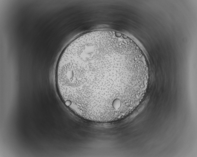 X0000100770957200807171409