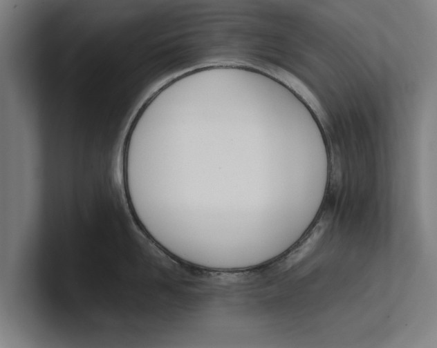 X0000100770958200807171409