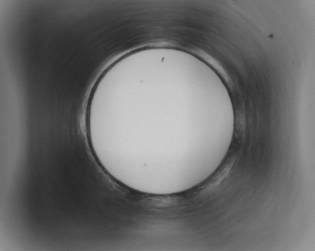 X0000100770959200807171409
