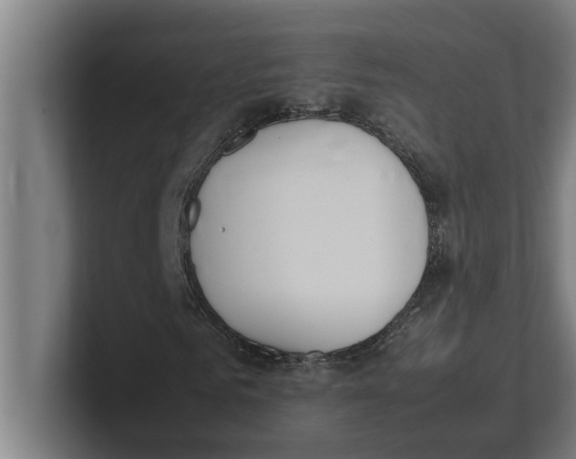 X0000100770961200807171408