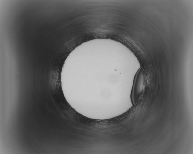 X0000100770964200807171408
