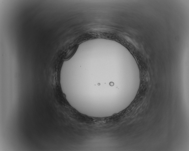 X0000100770965200807171408
