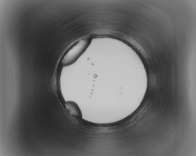 X0000100770976200807171408