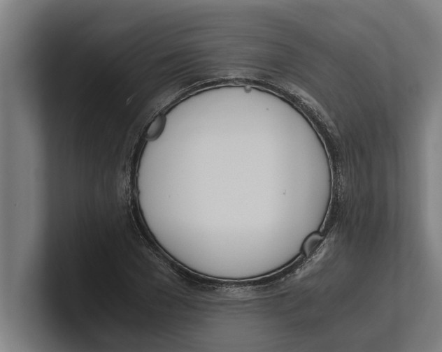 X0000100770977200807171408
