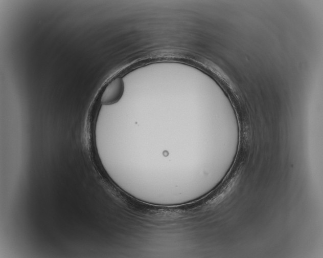 X0000100770981200807171408