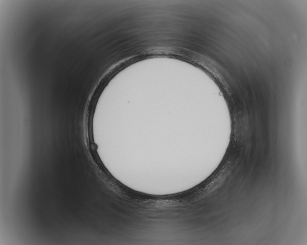X0000100770984200807171408