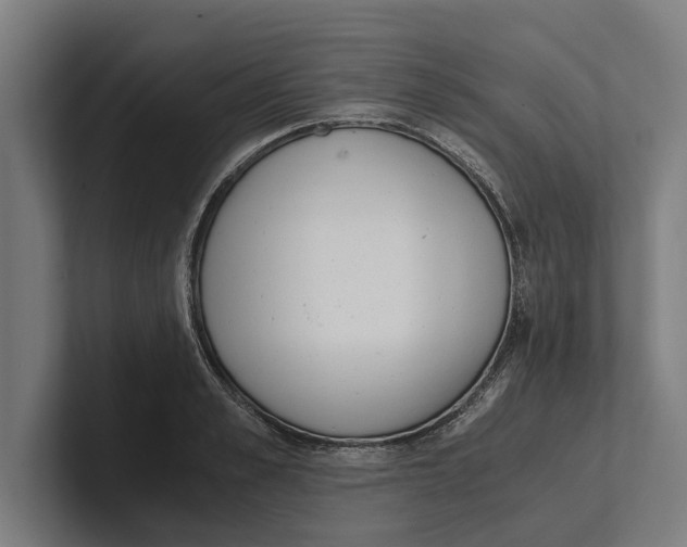X0000100770989200807171408