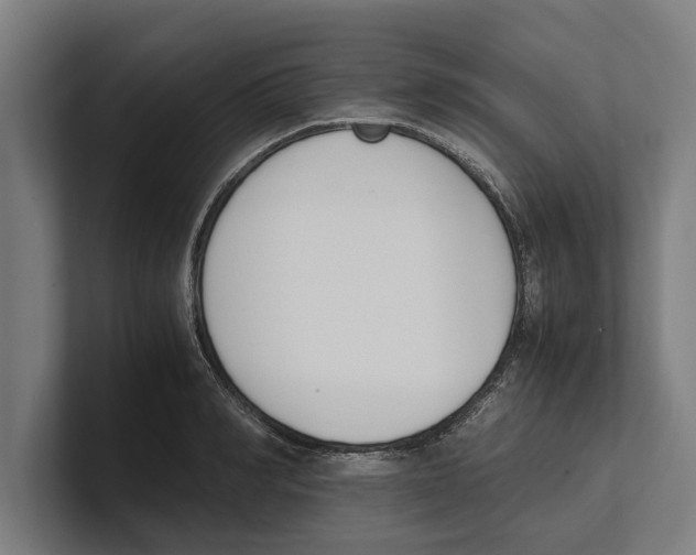 X0000100770990200807171408