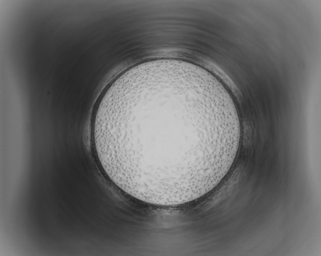 X0000100770994200807171408