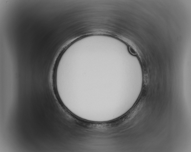 X0000100770995200807171408