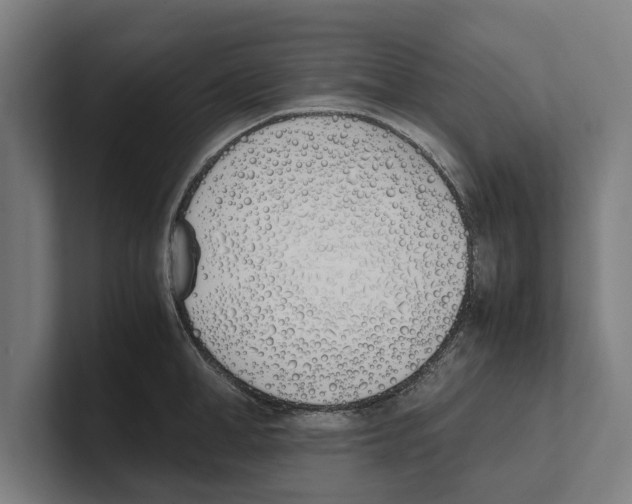 X0000100770998200807171408