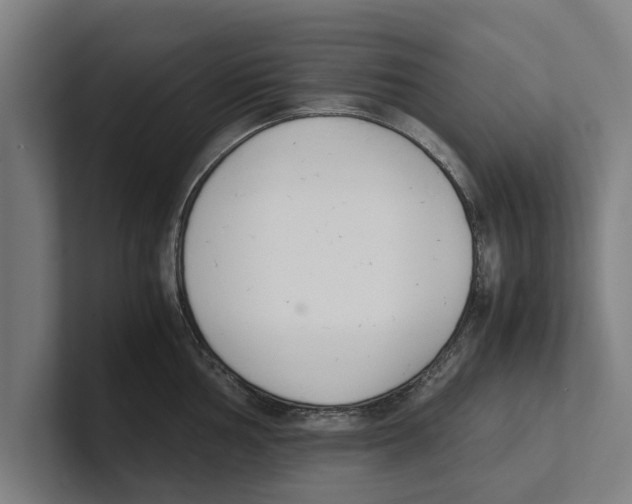 X0000100771002200807171408