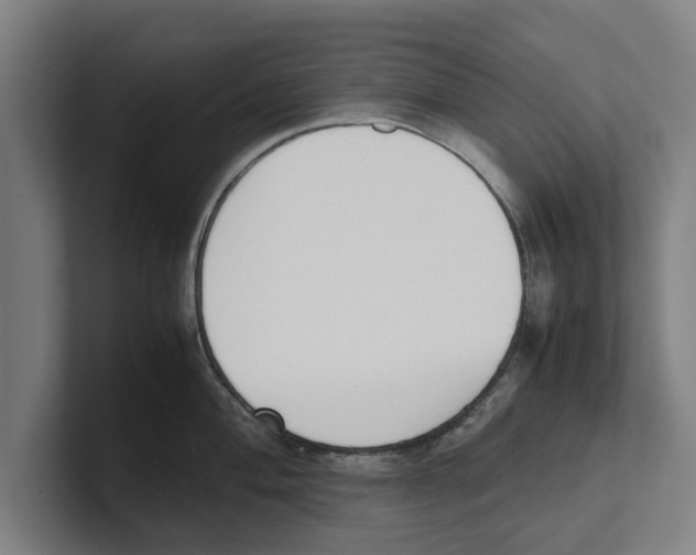 X0000100771004200807171408