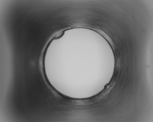 X0000100771005200807171408