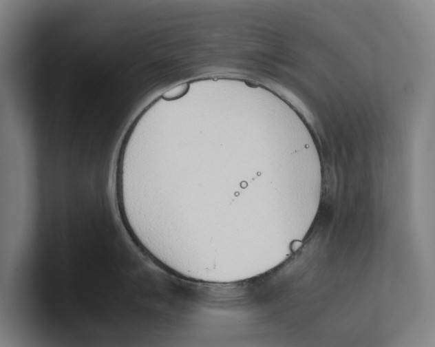 X0000100771007200807171407