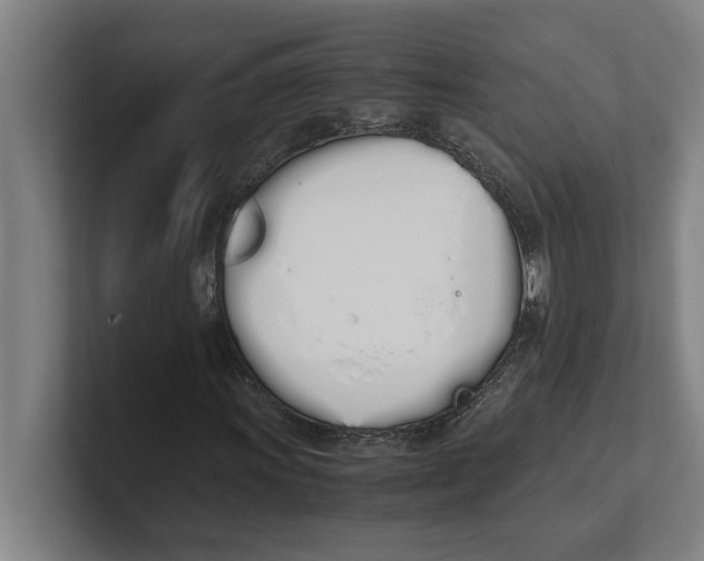 X0000100771011200807171407