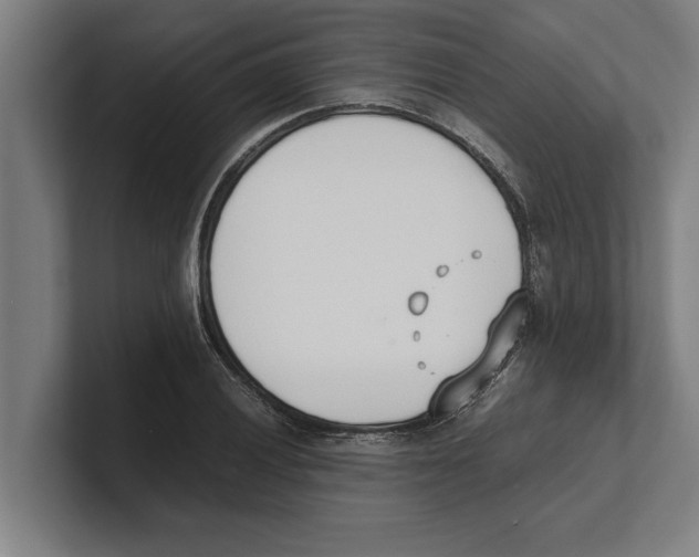 X0000100771028200807171407