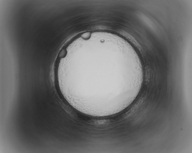X0000100771031200807171407