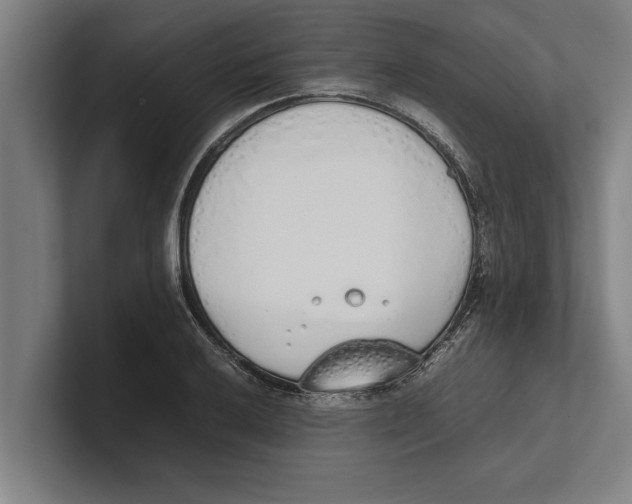X0000100771032200807171407