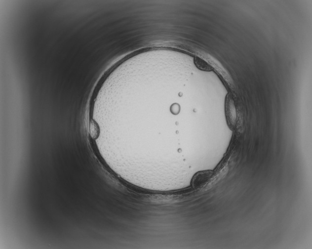 X0000100771036200807171407